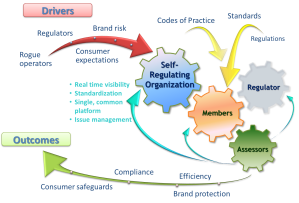 Self-Regulatory-Model-Advanced